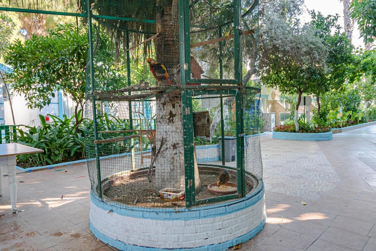 Sunberk Hotel Σιντέ Εξωτερικό φωτογραφία